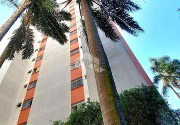 Apartamento em jardim santa terezinha (zona leste)