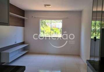 Apartamento para locação, pancera, toledo/pr