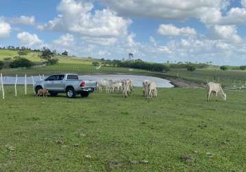 Fazenda com 10.3 hec em situada a 01 km do centro de brejinho/rn