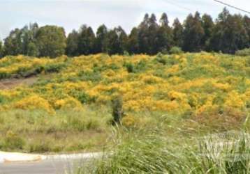 Dois excelentes terrenos juntos, futura esquina e meio de quadra, planos,  medindo 15 x 33 metros = 495 m cada, podendo ser vendidos separadamente. o valor deste anúncio é para o lote n 8 (meio de qua