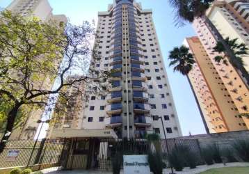 Apartamento 3 dormitórios avenida joão fiúsa