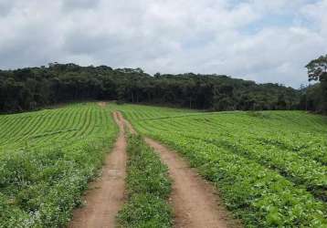 Área rural para venda em piedade, vila elvio