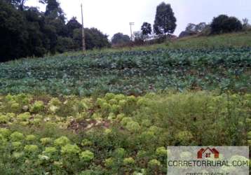 Terreno para venda em piedade, piraporinha