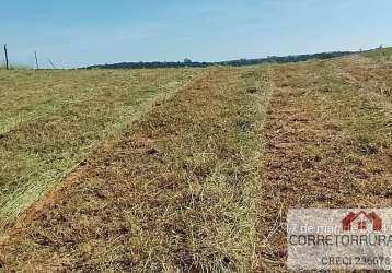 Terreno para venda em piedade, limal