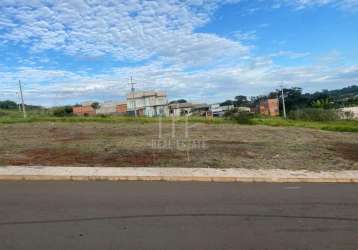 3 terrenos à venda parque guará em ibipora-pr. rua paralela à av. dos estudantes