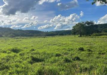 Fazenda a venda com 100 alqueires para agricultura na região de campina verde, mg.