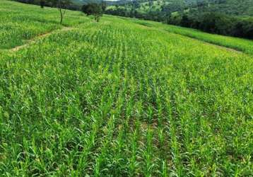 Fazenda de pecuária a venda em caldas novas, goiás