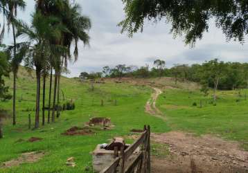 Fazenda de 113 alqueires de pecuária a venda