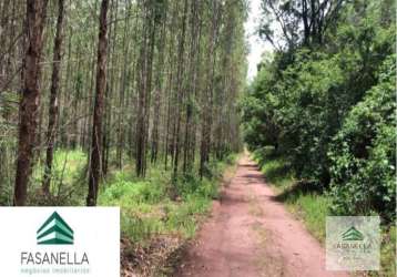 Fazenda à venda em são simão