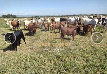 Fa-2456 - fazenda à venda em guaratinguetá/sp