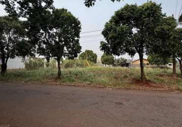 Apenas 130 metros da avenida rio grande do sul, à venda em marechal cândido rondon