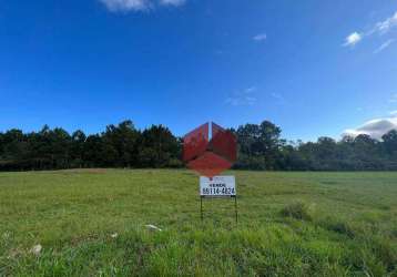 Terreno à venda, 419 m² por r$ 345.000,00 - rio vermelho - florianópolis/sc