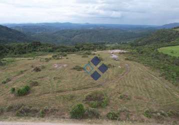 Área à venda, 2000 m² por r$ 1.999.000,00 - são luiz do puruna - balsa nova/pr