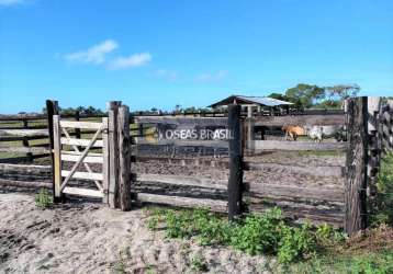 Fazenda em mogiquiçaba  -  belmonte