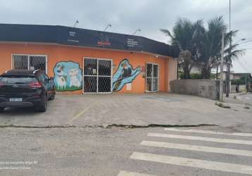 Venda de ponto comercial - locado para  um pet shop + 3 kitnets no paranaguamirim