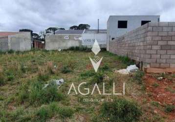 Terreno à venda, 160 m² por r$ 160.000,00 - eucaliptos - fazenda rio grande/pr