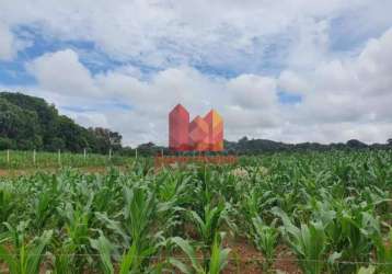 Terreno à venda na rodovia pr 423 km 6,5, s/n, campina das pedras, araucária, 2000 m2 por r$ 350.000