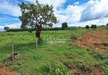 Área para loteamento à venda em alexânia-go, 57,625 ha,