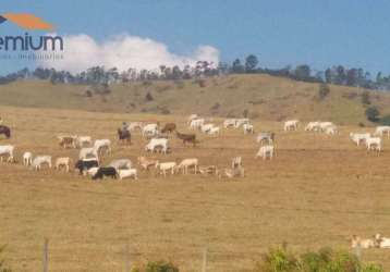 Fazenda com 4 dormitórios à venda, 968000 m² por r$ 15.000.000,00 - anhumas - vargem/sp