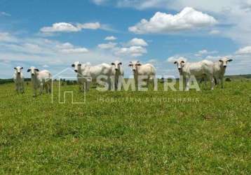 Terras em anhembi/sp, prontas para pasto!  área terreno 26 alqueires paulista