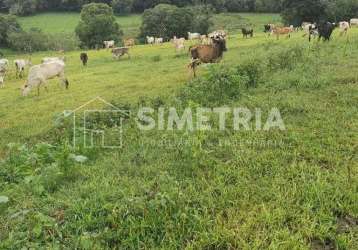 Venda – fazenda linda em pouso alegre - mg!