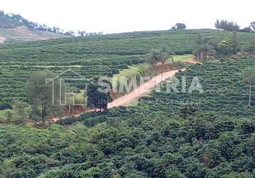 Venda – fazenda cultura mista em varginha - mg!