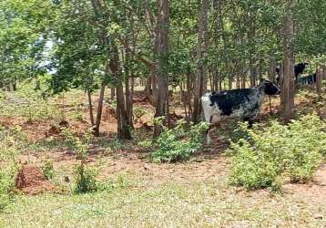 Belíssima fazenda em curvelo próprio para leite