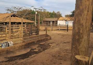 Eita que fazenda boa hein curvelo dupla petidão preço bom demais da conta