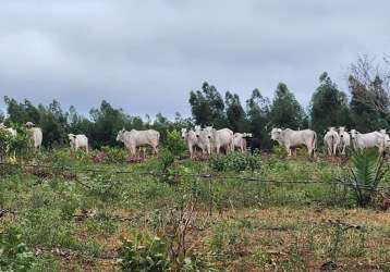 918 p.039 fazenda em buritizeiro/ mg pecuária e eucalipto