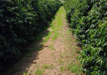 Fazenda produtora de café em varginha sul de minas gerais