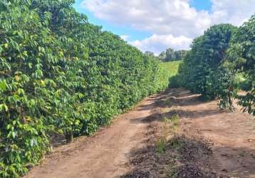 Fazenda de café e pecuária em oliveira mg