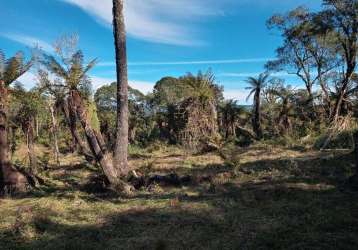 Terreno rural de 2 hectares em são josé, urubici-sc