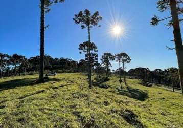 Terreno rural de 2hectares no morro da igreja