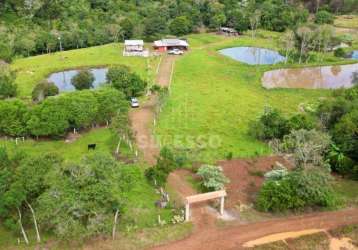 Chácara em guaraniaçu 2 alqueires analisa permuta!