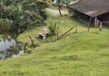 Sítio a venda testo salto - blumenau