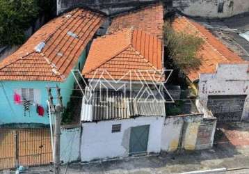 Terreno à venda, vila guilherme, são paulo, sp