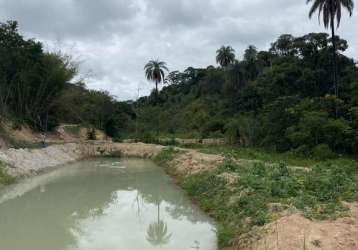 Terreno rural de 2 hectares com lagoa e árvores frutíferas em florestal