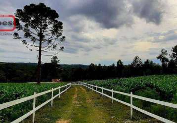 Chácara com 2 dormitórios à venda, 24200 m² por r$ 424.000,00 - serra do araçatuba - tijucas do sul/pr