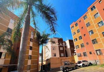 Apartamento à venda, 58 m² por r$ 277.000,00 - castelo - belo horizonte/mg