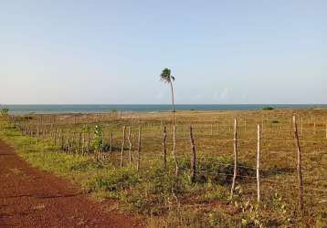 Terreno beira mar em são miguel do gostoso