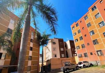 Apartamento com 3 quartos à venda na rua desembargador josé burnier, --, castelo, belo horizonte por r$ 277.000