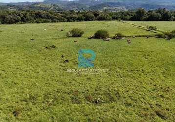 Fazenda 218 hectares em santo antônio da patrulha-rs