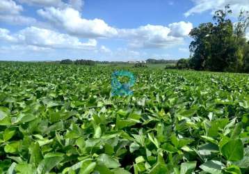 Fazenda com 150 hectares, otima produtividade!