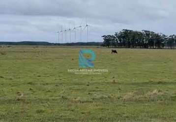 Fazenda excelente 123 hectares palmares do sul.