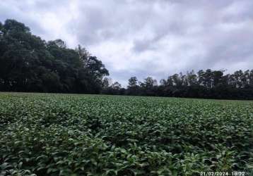 Área rural de 5 alqueires - colonia dona luiza