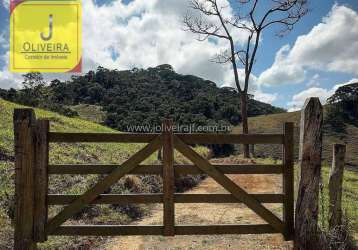 Sítio à venda, 100000 m² por r$ 650.000 - coronel pacheco