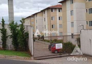 Apartamento à venda, em condomínio fechado, 3 quartos, 1 vaga, 61.95m², estrela, ponta grossa - pr