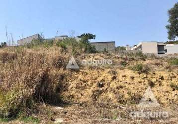 Terreno à venda 802.26m², estrela, ponta grossa - pr