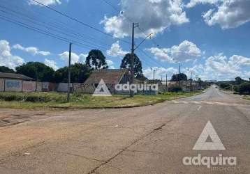 Terreno à venda e locação 300.13m², oficinas, ponta grossa - pr