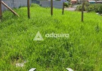 Terreno à venda 528m², jardim carvalho, ponta grossa - pr